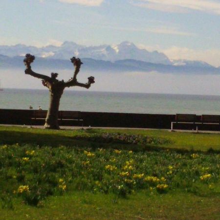 Auszeit Am See Langenargen Dış mekan fotoğraf